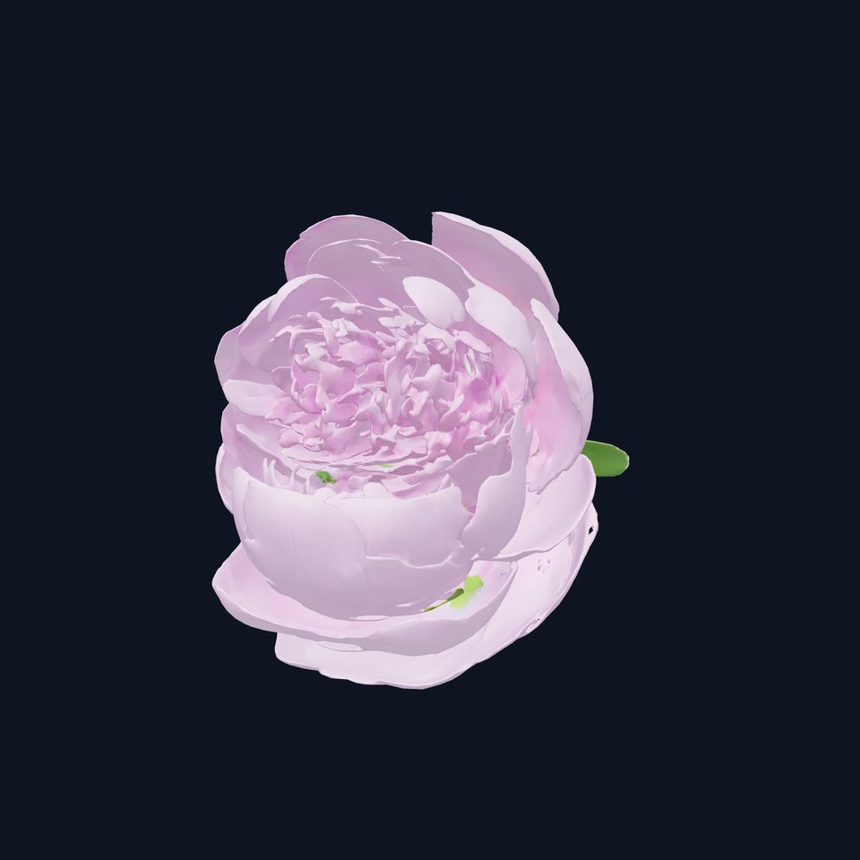 Purple Peony Mystical Flower model pack